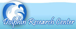 Dolphin Research Center