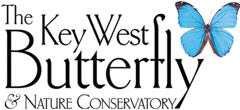 The Key West Butterfly & Nature Conservatory