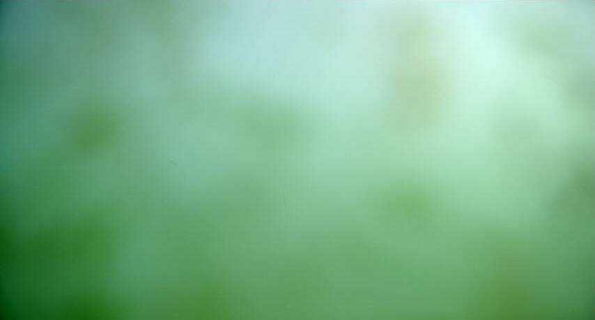 Isla Bella Beach Resort: Marina Underwater Cam